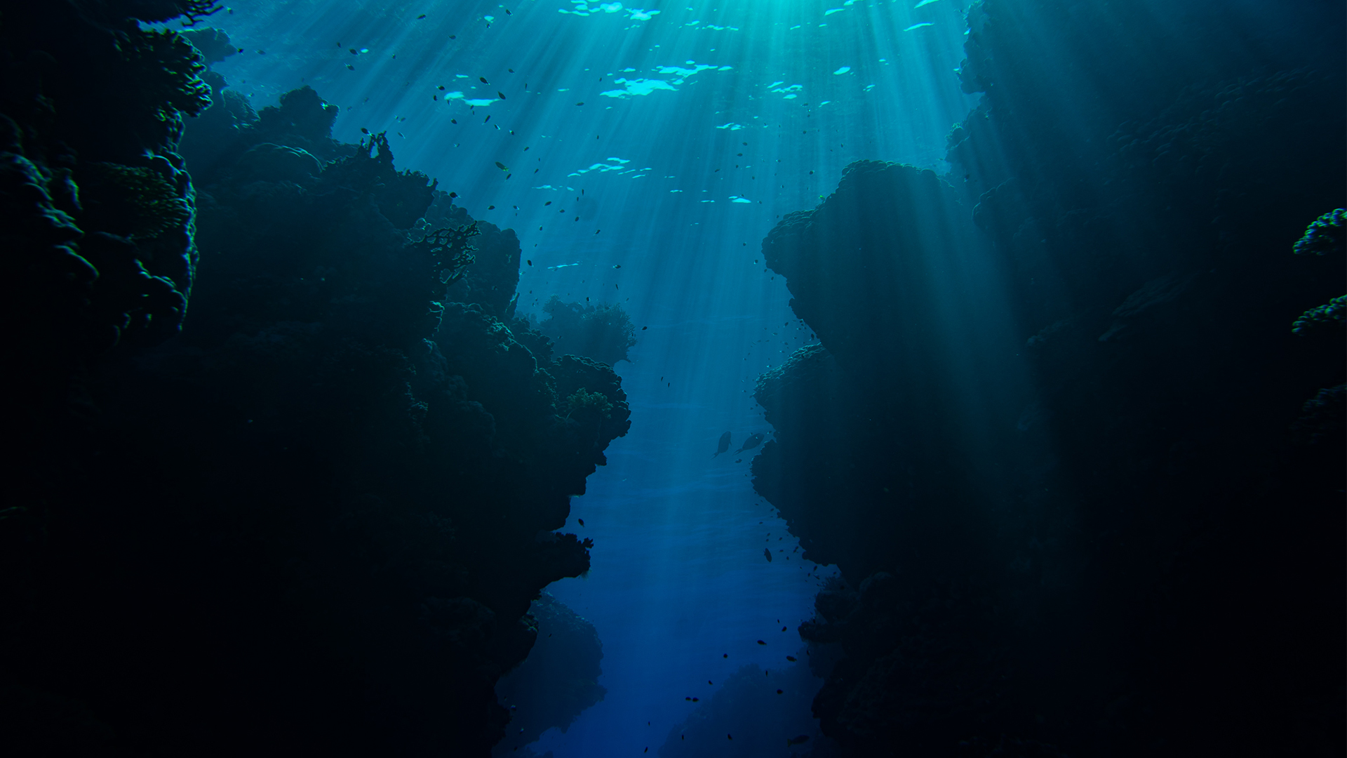 Beyond Deep South Red Sea Liveaboard