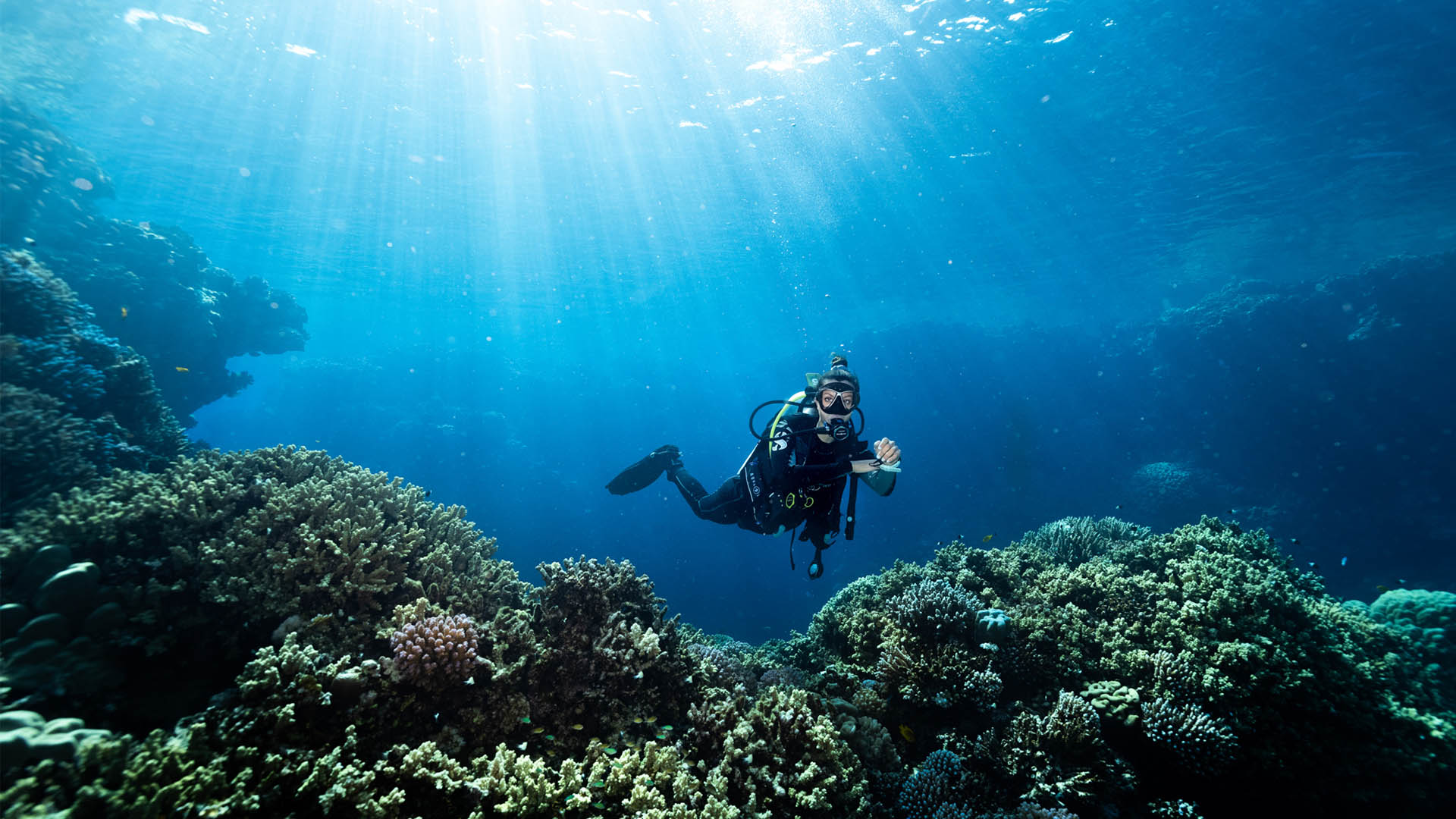 Learn to dive | PADI Diving Courses